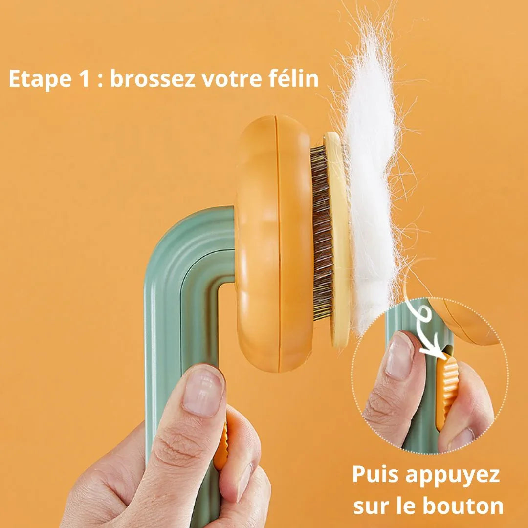 Détails des dents incurvées et arrondies