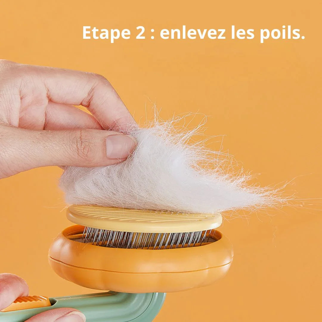 Poils libérés par le bouton de nettoyage