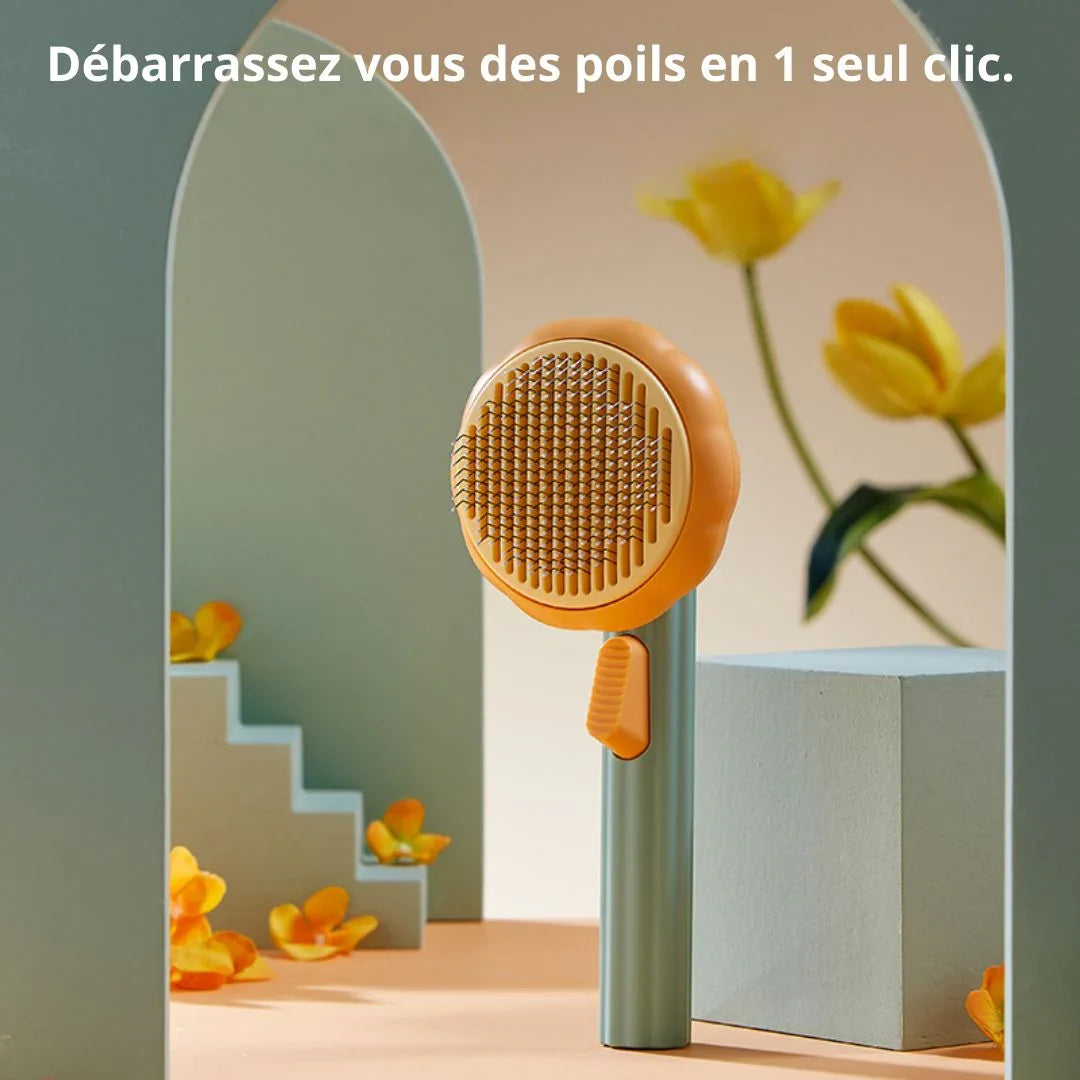 Design citrouille orange et vert de la brosse